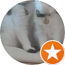 Terry Hoogstra profile picture